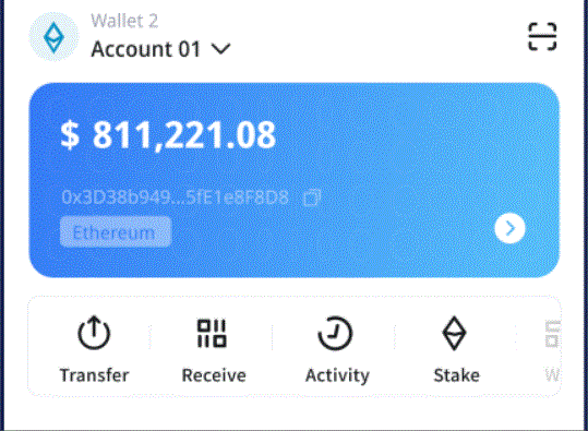 12只朱鹮在汉比特派江畔放归自然